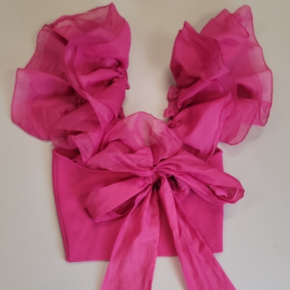 Pink Ruffle Sleeve Crop Top - Picture 5 of 8